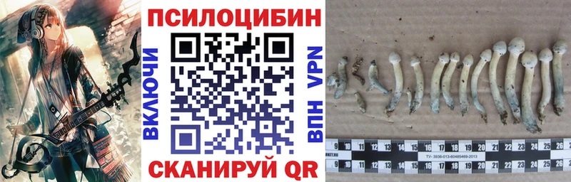OMG ссылки  Мезень  Галлюциногенные грибы Cubensis 